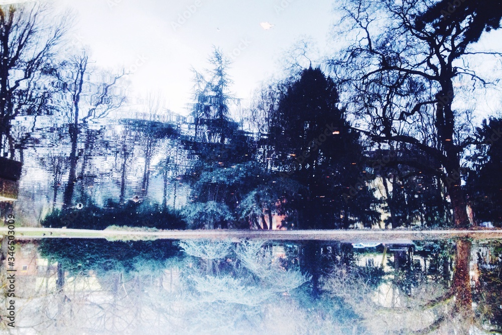 Reflection Of Trees In Water - obrazy, fototapety, plakaty 