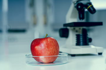 Wall Mural - Red Apple to selection in Microbiological laboratory.Chemical Laboratory of the Food supply.Food in laboratory.GMO Genetically modified food in lab