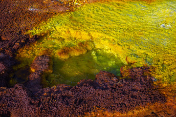 Wall Mural - Dallol landscape close up, Danakil desert, Ethiopia