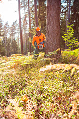 Wall Mural - lumberjack