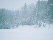 © takayuki_n82 - 豪雪