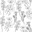 Botanical illustration of wildflowers. Seamless pattern. Line art, pen on a white background. vector illustration