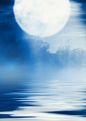 Wall Mural - Background night landscape. The night sky, the full moon. Reflection of the moon on the water.