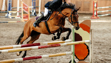 Horseman On Horse Jumping Obstacle In Competition Equestrian Sport