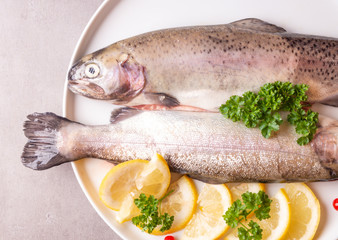 Wall Mural - Fresh trout fish with lemon parsley cranberries