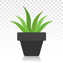 Green Aloe Vera With Potted Plant Flat Icon For Apps And Websites