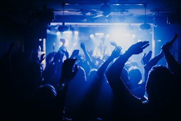 silhouette of a concert crowd