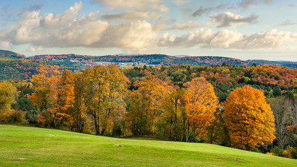 Poster - Brilliant fall colors in Vermont Countryside road and farm in Autumn near Woodstock