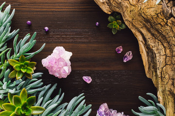 Wall Mural - Amethyst and Succulents