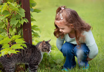 Beautiful small kid girl looking and playing with cat on green grass summer sunny bright background. Closeup