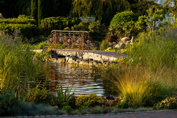 Wall Mural - artificial pond with bushes and shrubs decorated in landscaping