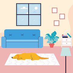 Canvas Print - adorable dog in living room