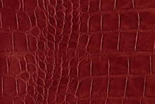 Red Alligator Or Reptile Skin Of High Quality And High Resolution. Texture And Background Of Crocodile Or Alligator Dark Red Skin In Square Pattern For Wallets, Purse, Bags And Interior Design.