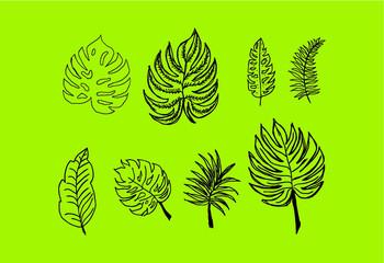 exotic plants and flowers and leaves embroidery graphic design vector art