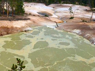 Beautiful Yellow stone national park geyser.