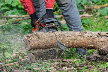 Sticker - Man works by chainsaw.