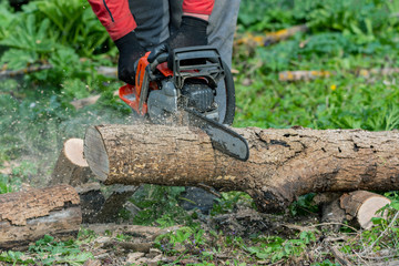 Wall Mural - Man works by chainsaw.