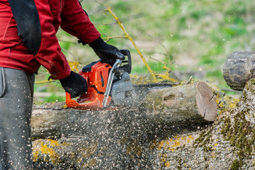 Wall Mural - Man works by chainsaw.