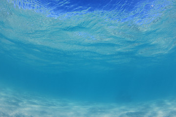 Underwater clear blue sea	