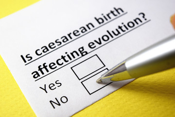 Wall Mural - Is caesarean birth affecting evolution? Yes or no?