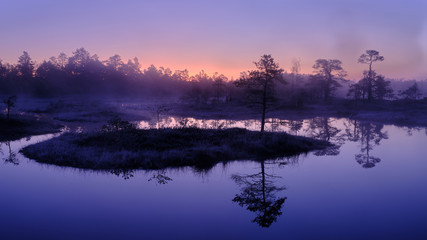 Misty Autumn morning in a marsh lake with forest silhouette in the background