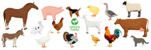 Farm Animals Collection. Horse, Dog, Goat, Donkey, Pig, Cat, Cow, Sheep, Hen, Goose, Rabbit, Duck, Turkey, Chicken, Broiler; Rooster.