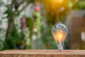 Light bulb Energy saving green nature background