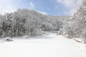 Beautiful winter mountain snow-covered landscape. Magnificent and silent sunny day. Odaesan national park, Gangwon-do, Korea