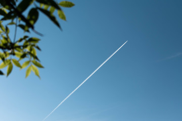 A plane flying through the deep blue skies with green foliage out of focus on the left top corner.  A sharp diagonal white trail left behind the jet high in the sky 