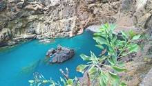 High Angle View Of Turtle On Rock By Trees