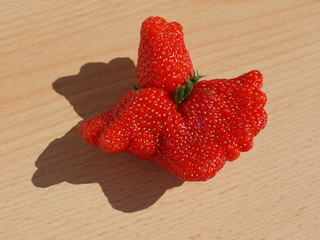 Erdbeeren