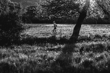 Wall Mural - Black and white photo. Silhouette of male runner in warm spring sunset. Athlete training on spring dandelions meadow near blossom tree