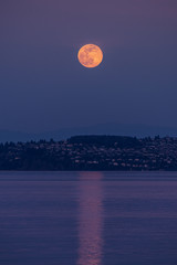Wall Mural - moonrise