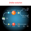 Stellar evolution. Life cycle of a star.
