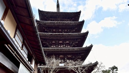 Wall Mural - Five storied pagoda in Kyoto