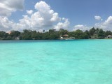Fototapeta Psy - Beautiful ocean view with clean blue turquoise water, sunny day. Amazing background of island, Caribbean, Lagoon Bacalar. Calm secluded place without people, paradise