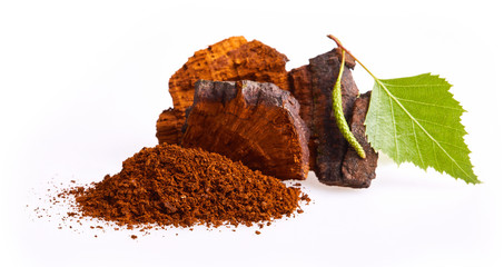 Natural Chaga mushroom pieces isolated on white background. A pile of chopped chaga mushroom, close up. Inonotus Obliquus. 