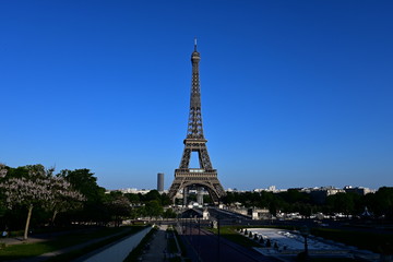 Fototapete - Eiffel Tower in Paris France is an amazing structure and a wonder of the world