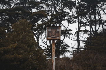  lantern via sacra in the forest