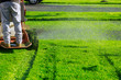 Close up of man using a lawn mower a gardener cutting grass by lawn mower