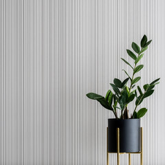 Wall Mural - green zamioculcas plant in black flower pot