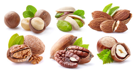 Canvas Print - Nuts collage on white background