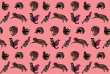 Pattern Of Russian Blue Cats Against Pink Background