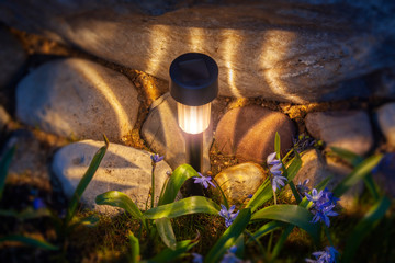 A solar lamp illuminates a composition of stones, flowers and grass. Beams of warm light diverge from the garden lamp.