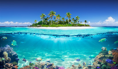 Wall Mural - Tropical Island And Coral Reef - Split View With Waterline
