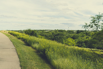 A hill with a concrete path in a city park on a sunny spring day.