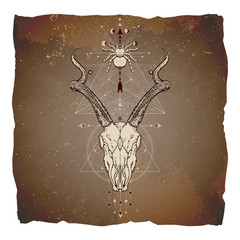 Wall Mural - Vector illustration with hand drawn antelope skull, spider and Sacred geometric symbol on vintage paper background with torn edges. Abstract mystic sign. Image in sepia and red color. 