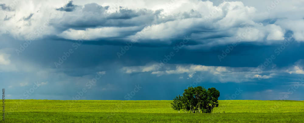 Scenic View Of Grassy Field Against Cloudy Sky - obrazy, fototapety, plakaty 