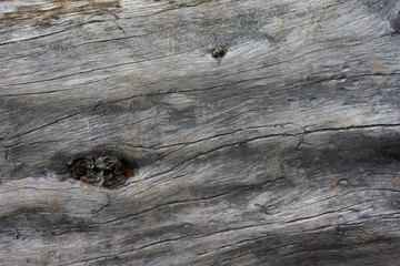 Old wood texture background