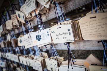 Canvas Print - Meji-jingu Shrine in Tokyo Japan